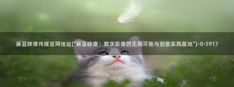 91麻豆传媒官网破解：麻豆映像传媒官网地址(\