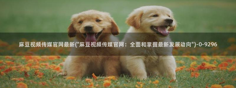 麻豆文化传媒官网免费：麻豆视频传媒官网最新(\