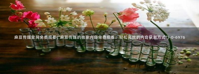 麻豆tv传媒官网：麻豆传媒官网免费观看(\