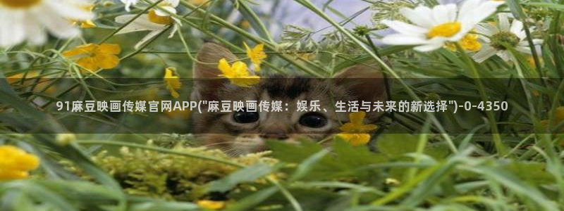 麻豆 传媒 官网推荐：91麻豆映画传媒官网APP(\