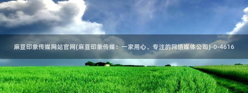 麻豆传媒官网 亚瑟：麻豆印象传媒网站官网(麻豆印象传媒：一家用心、专注的网络媒体公司)