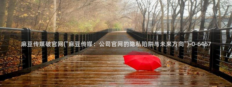 麻豆传媒官网www：麻豆传媒破官网(\