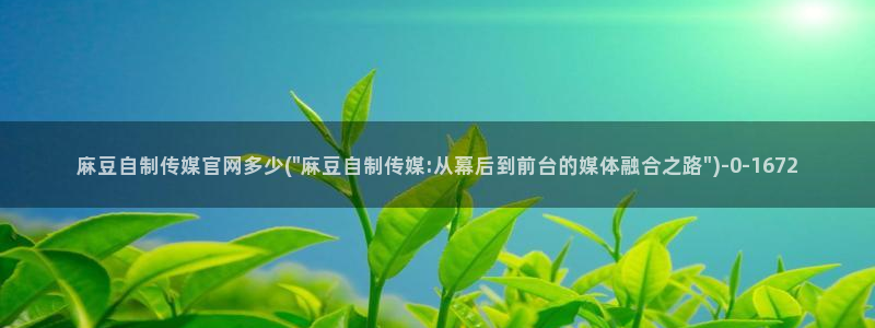 麻豆直播官网传媒：麻豆自制传媒官网多少(\