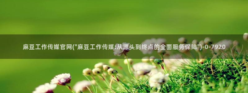 官网麻豆传媒：麻豆工作传媒官网(\