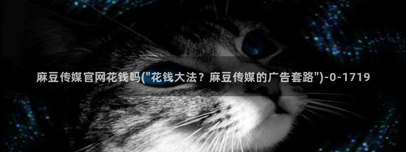 麻豆直播传媒官网：麻豆传媒官网花钱吗(\
