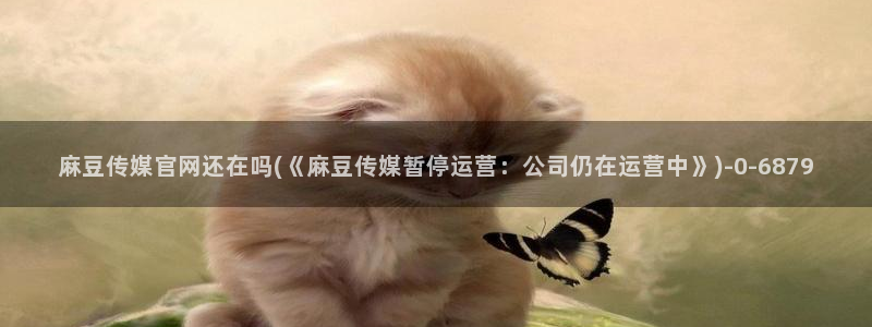 麻豆传媒官网全集：麻豆传媒官网还在吗(《麻豆传媒暂停运营：公司仍在运营中》)