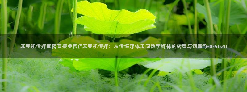 麻豆床传媒映画官网