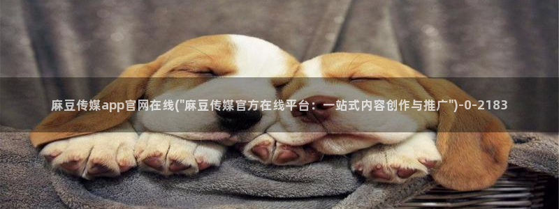 麻豆麻豆文化传媒官网：麻豆传媒app官网在线(\