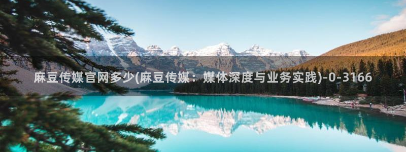 pud 麻豆传媒官网：麻豆传媒官网多少(麻豆传媒：媒体深度与业务实践)