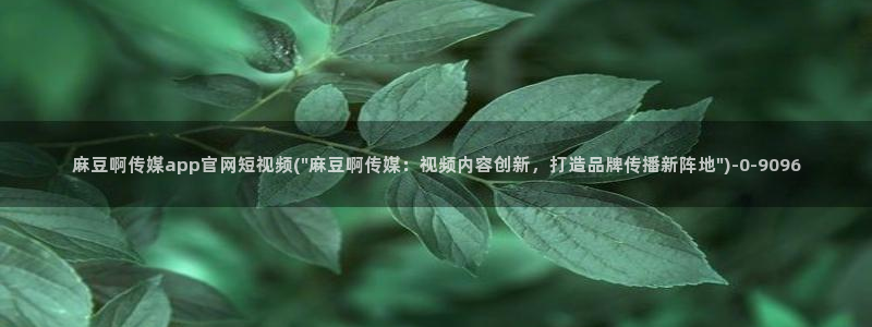 麻豆文化传媒A官网最新：麻豆啊传媒app官网短视频(\