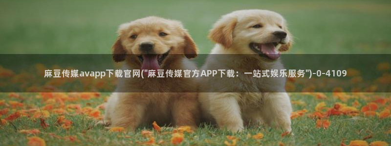 麻豆麻豆文化传媒官网：麻豆传媒avapp下载官网(\