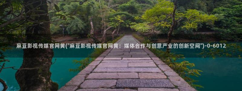 麻豆传媒官网打不开：麻豆影视传媒官网黄(\