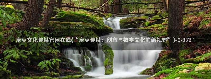 麻豆自传媒 官网
